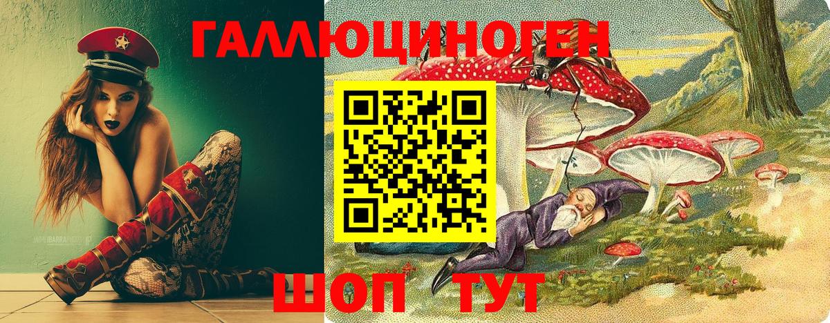 Химки  Псилоцибиновые грибы MAGIC MUSHROOMS  Вход с VPN 